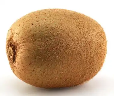 Kiwi Stk