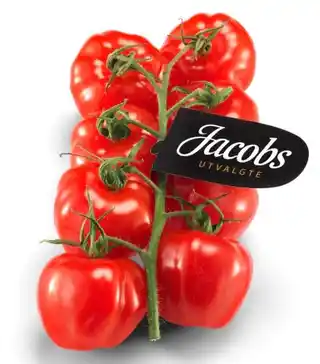 Cherrytomat Rød Løsvekt Jacobs 3 kg