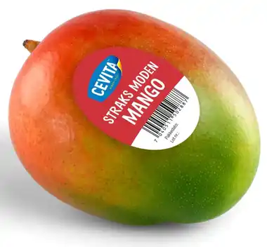 Mango Stk Cevita